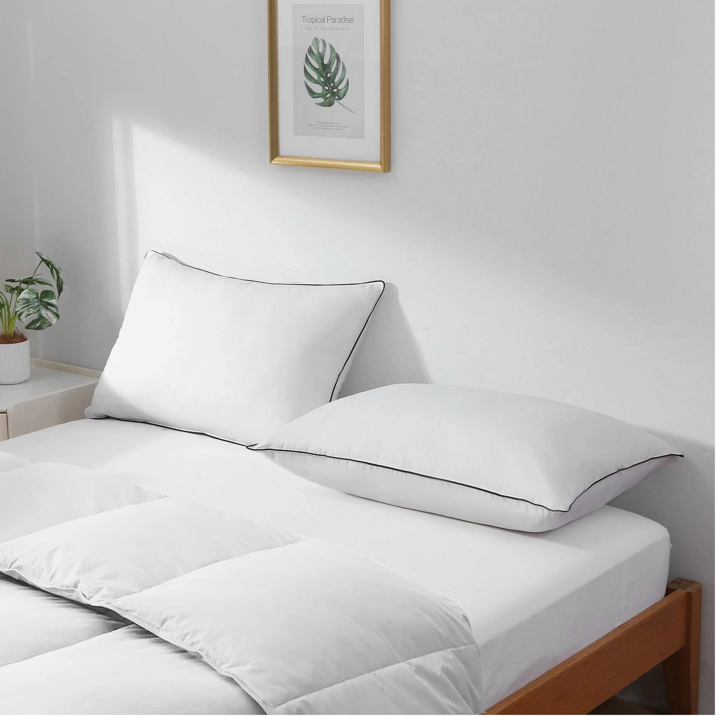 APSMILE Goose Feathers Down Pillows Set of 2, 100% Organic Cotton Cover Medium Support Pillow Inserts, Hotel Quality Fluffy Bed Pillow,White