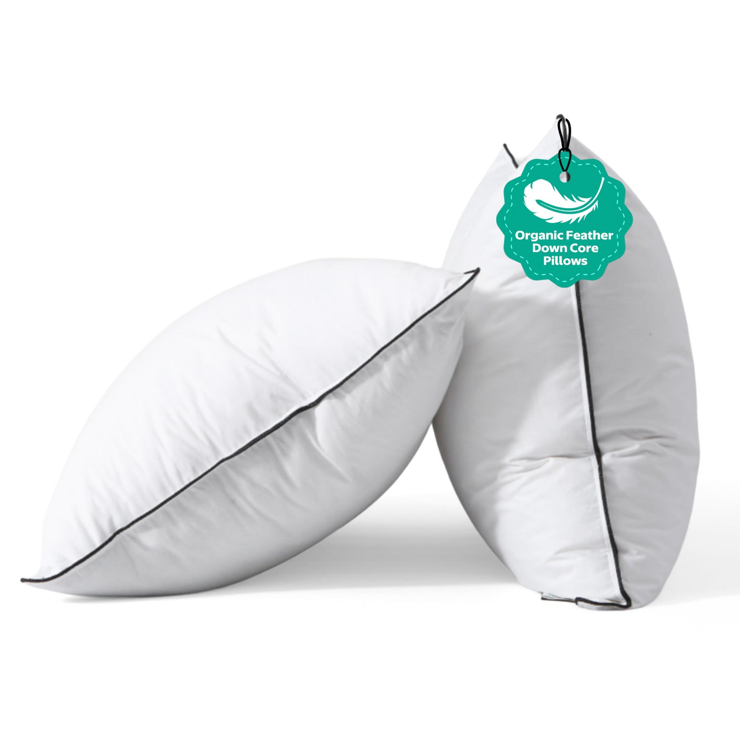 Feathers & Down Pillows