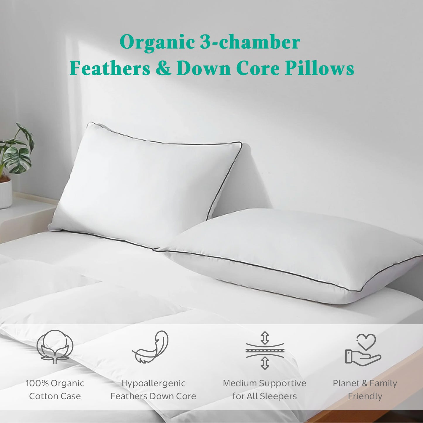 APSMILE Goose Feathers Down Pillows Set of 2 ,100% Organic Cotton Cover Medium Support Pillow Inserts, Hotel Quality Fluffy Bed Pillow, (White)